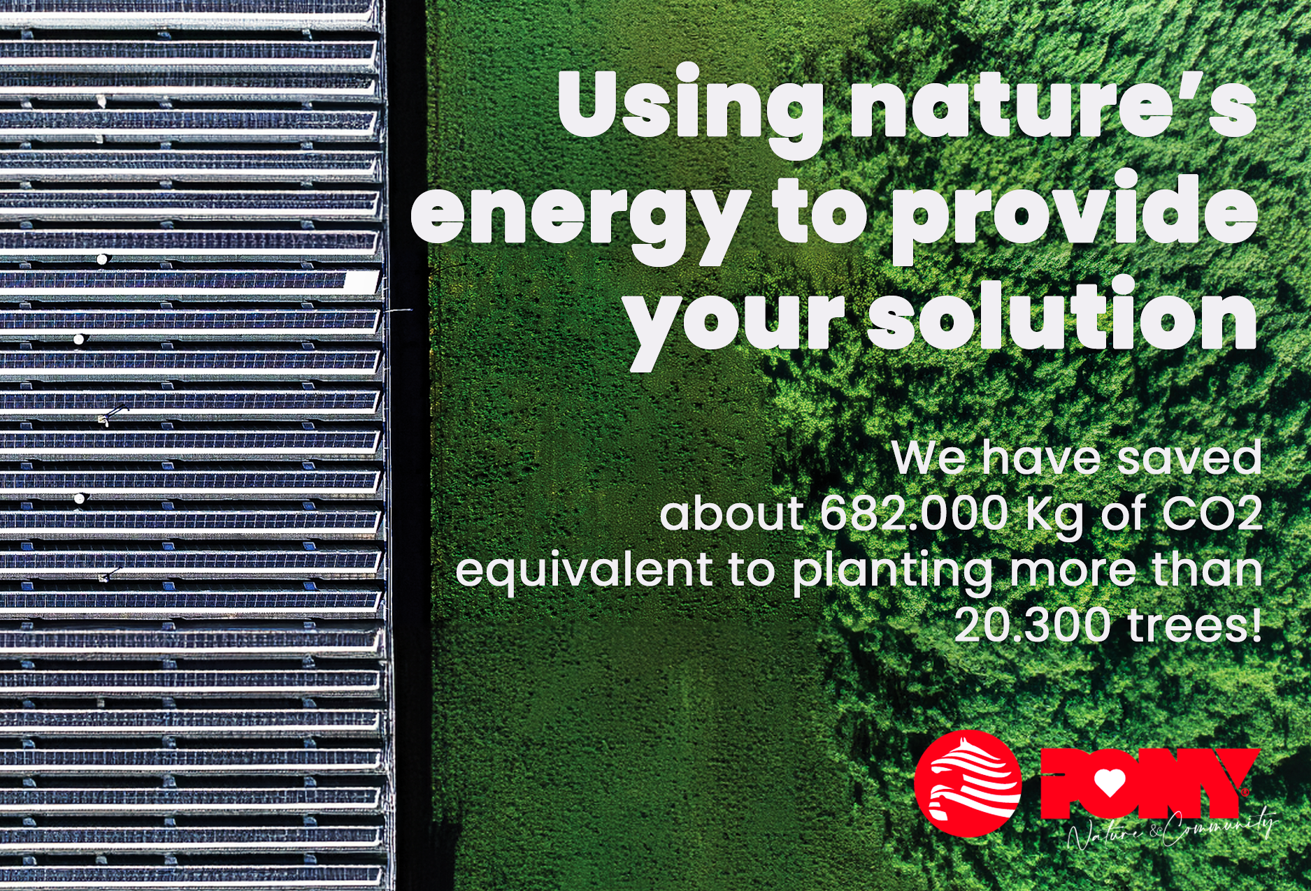 An Ever Greener Future: Reducing CO2 Emissions and Planting Change!